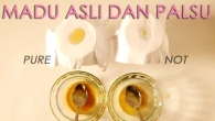 Uji Keaslian Madu Murni
